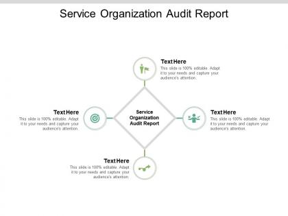 Service organization audit report ppt powerpoint presentation slides pictures cpb