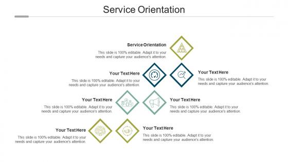 Service orientation ppt powerpoint presentation visual aids icon cpb