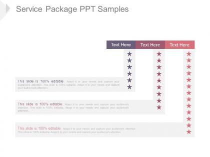 Service package ppt samples