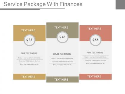 Service package with finances ppt slides