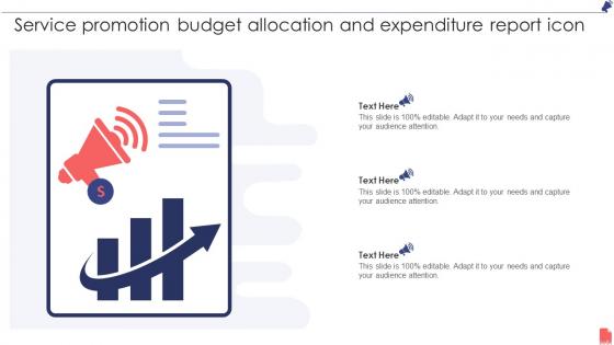 Service Promotion Budget Allocation And Expenditure Report Icon
