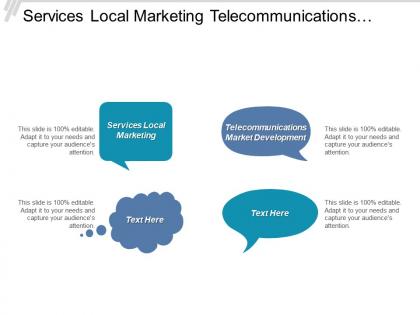 Services local marketing telecommunications market development program digitization services cpb