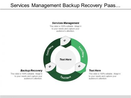Services management backup recovery paas consumer application development