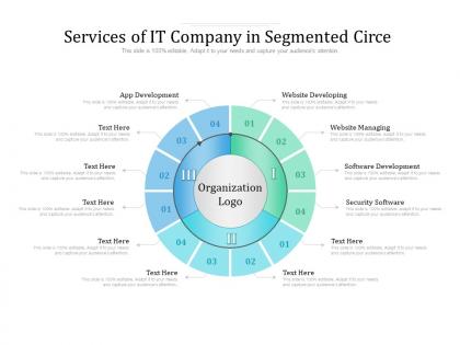 Services of it company in segmented circe