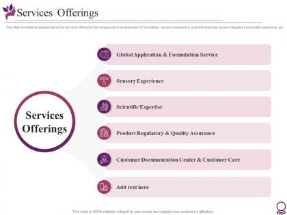 Services offerings beauty services pitch deck investor funding elevator ppt summary design
