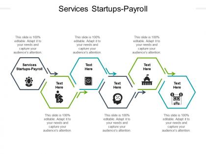 Services startups payroll ppt powerpoint presentation file graphic images cpb