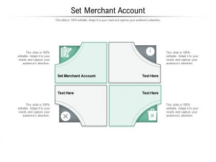 Set merchant account ppt powerpoint presentation summary design templates cpb