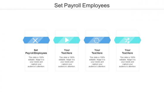 Set payroll employees ppt powerpoint presentation ideas designs cpb