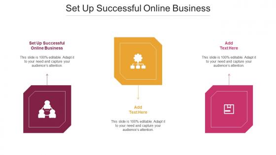 Set Up Successful Online Business Ppt Powerpoint Presentation Gallery Design Cpb
