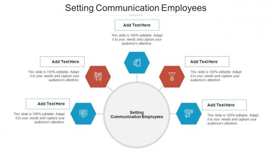 Setting Communication Employees Ppt Powerpoint Presentation Styles Professional Cpb