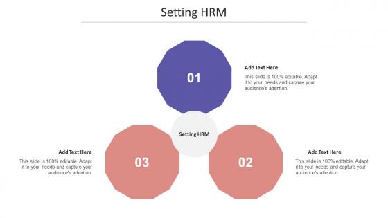 Setting HRM Ppt Powerpoint Presentation Infographic Template Layouts Cpb