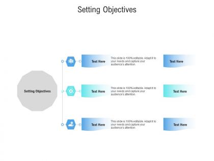 Setting objectives ppt powerpoint presentation diagram lists cpb