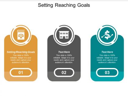 Setting reaching goals ppt powerpoint presentation show slide portrait cpb