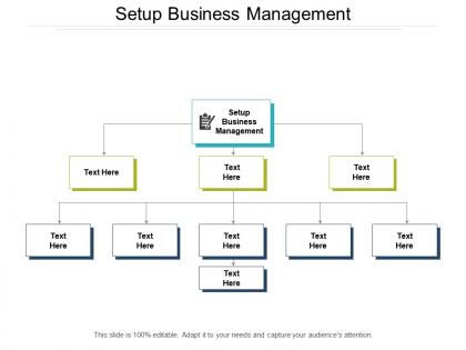 Setup business management ppt powerpoint presentation slides layout ideas cpb