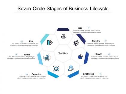 Seven circle stages of business lifecycle