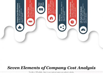 Seven elements of company cost analysis