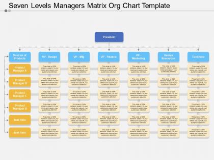 Seven levels managers matrix org chart template