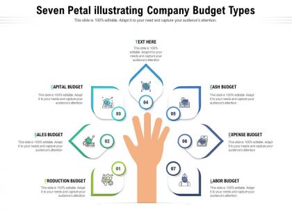 Seven petal illustrating company budget types