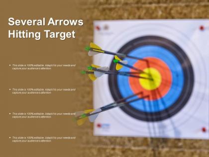 Several arrows hitting target