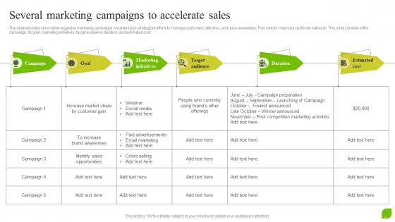 Several Marketing Campaigns To Accelerate Organic Growth As Effective Business Strategy SS