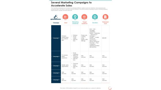 Several Marketing Campaigns To Accelerate Sales One Pager Sample Example Document