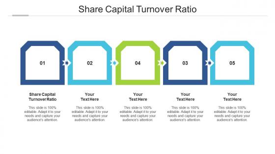 Share capital turnover ratio ppt powerpoint presentation summary images cpb
