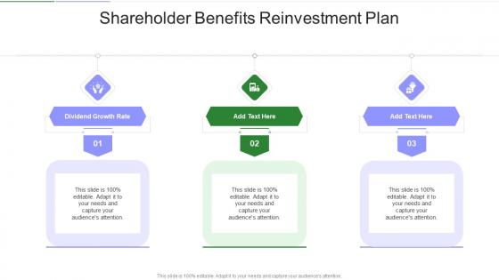 Shareholder Benefits Reinvestment Plan In Powerpoint And Google Slides Cpb