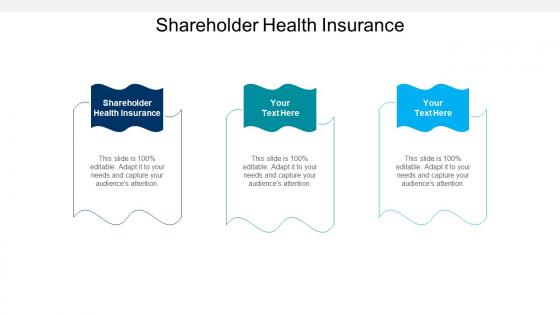 Shareholder health insurance ppt powerpoint presentation model rules cpb