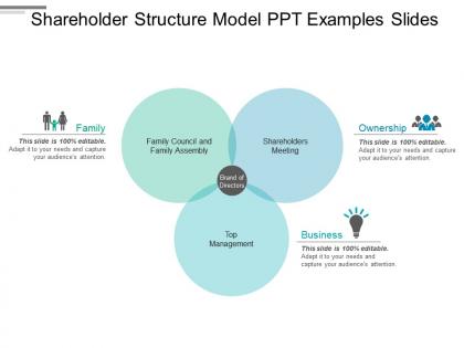 Shareholder structure model ppt examples slides