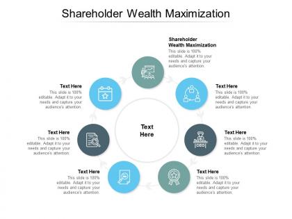 Shareholder wealth maximization ppt powerpoint presentation summary tips cpb