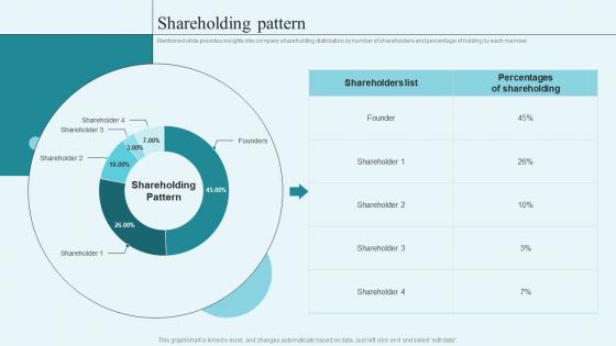 Shareholding Pattern Data Processing Investor Funding Elevator Pitch Deck