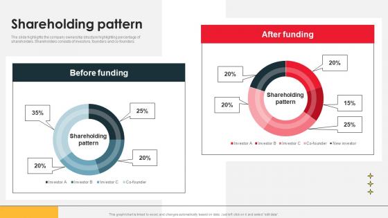 Shareholding Pattern Databricks Investor Funding Elevator Pitch Deck