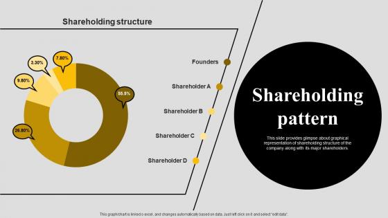Shareholding Pattern Gaia Investor Funding Elevator Pitch Deck