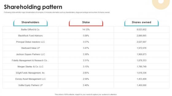 Shareholding Pattern Investor Pitch Deck For Website Development