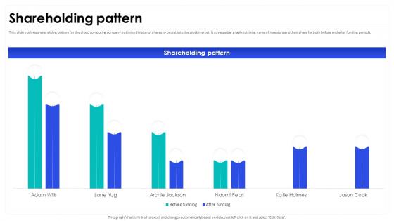 Shareholding Pattern Netlify Investor Funding Elevator Pitch Deck