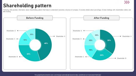Shareholding Pattern Real Time Editing App Funding Pitch Deck
