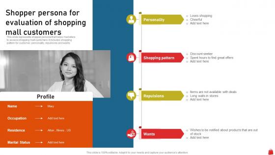 Shopper Persona For Evaluation Of Shopping Mall Execution Of Mall Loyalty Program To Attract Customer MKT SS V