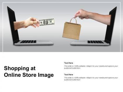 Shopping at online store image