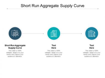 Short run aggregate supply curve ppt powerpoint presentation summary template cpb