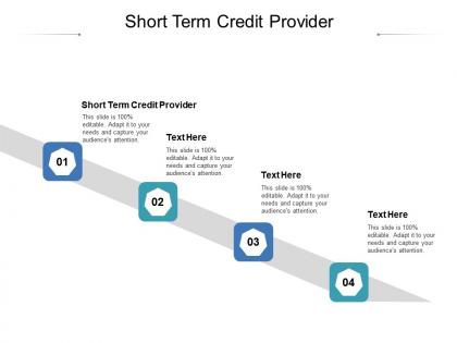 Short term credit provider ppt powerpoint presentation portfolio picture cpb