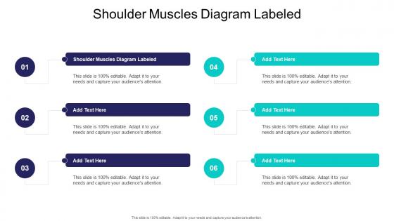 Shoulder Muscles Diagram Labeled In Powerpoint And Google Slides Cpb