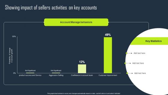 Showing Impact Of Sellers Activities On Key Accounts Key Business Account Planning Strategy SS