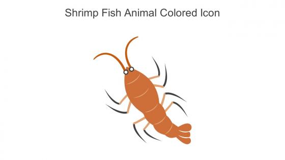 Shrimp Fish Animal Colored Icon In Powerpoint Pptx Png And Editable Eps Format