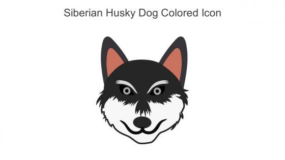 Siberian Husky Dog Colored Icon In Powerpoint Pptx Png And Editable Eps Format
