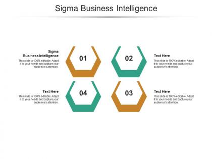 Sigma business intelligence ppt powerpoint presentation show deck cpb