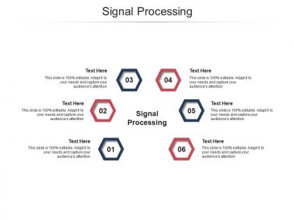 Signal processing ppt powerpoint presentation summary diagrams cpb