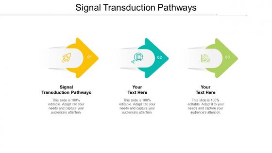 Signal transduction pathways ppt powerpoint presentation summary design ideas cpb