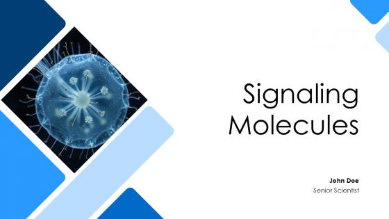 Template Molecules PowerPoint Presentation and Slides PPT PowerPoint ...