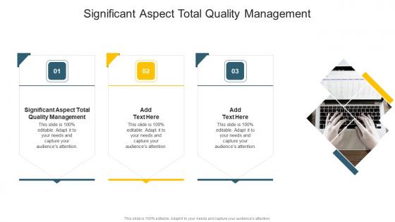 Significant Aspect Total Quality Management In Powerpoint And Google Slides Cpb