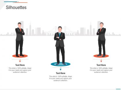Silhouettes business expenses summary ppt infographics